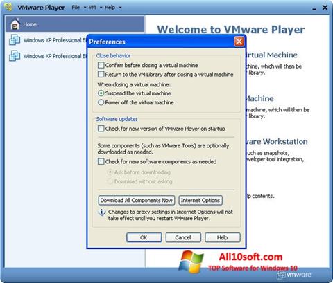 Screenshot VMware Player Windows 10