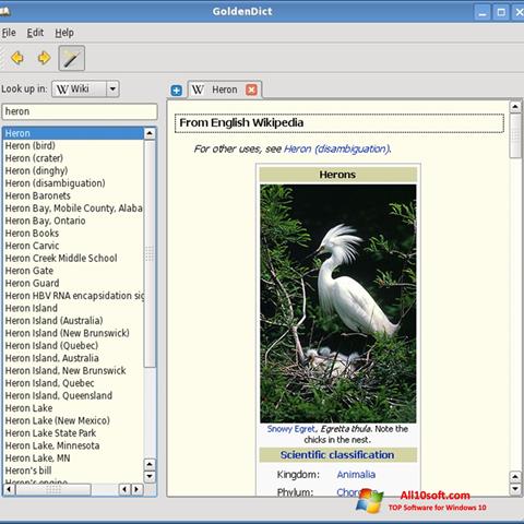 Screenshot GoldenDict Windows 10